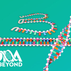 Dynamic 3D DNA Model (3' FT Long)