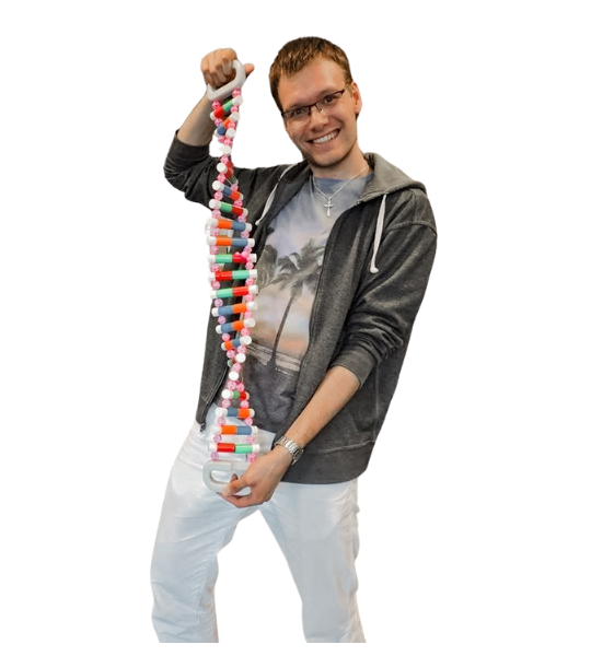 Student showing the assembled DNA model